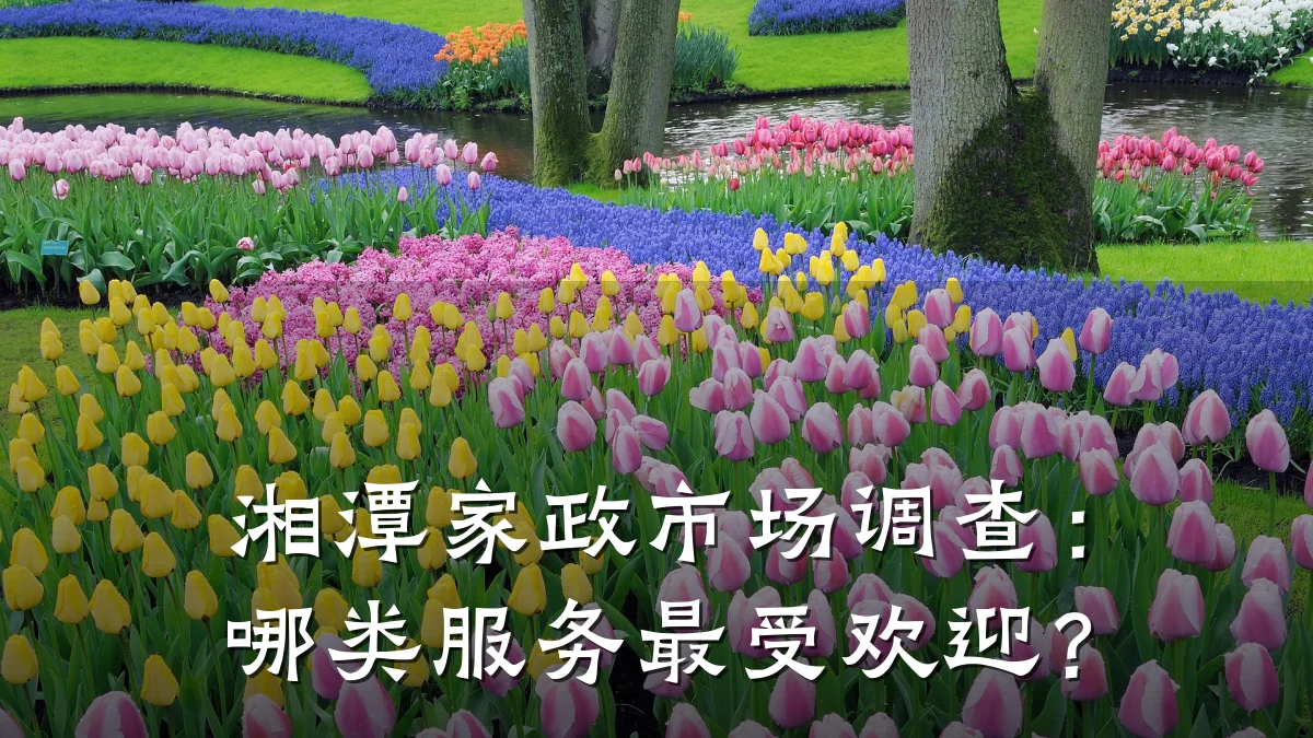 湘潭家政市场调查:哪类服务最受欢迎?