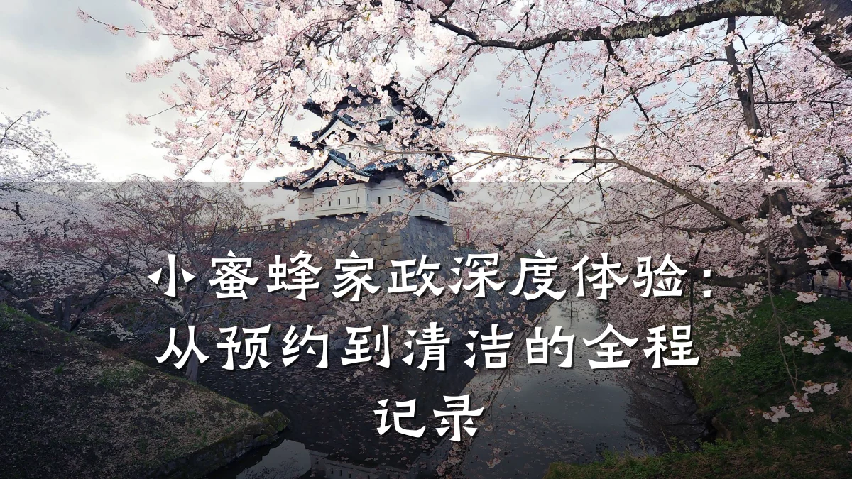 小蜜蜂家政深度体验:从预约到清洁的全程记录