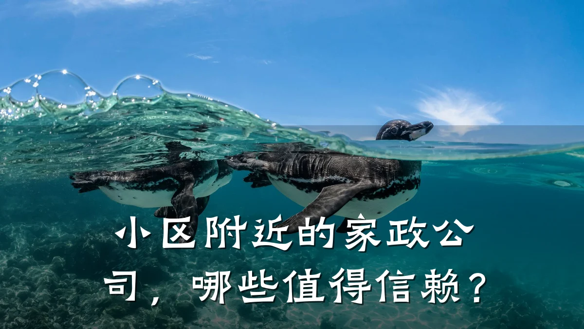 小区附近的家政公司,哪些值得信赖?