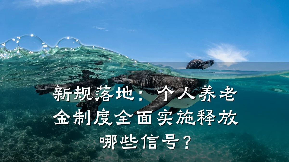 新规落地:个人养老金制度全面实施释放哪些信号?