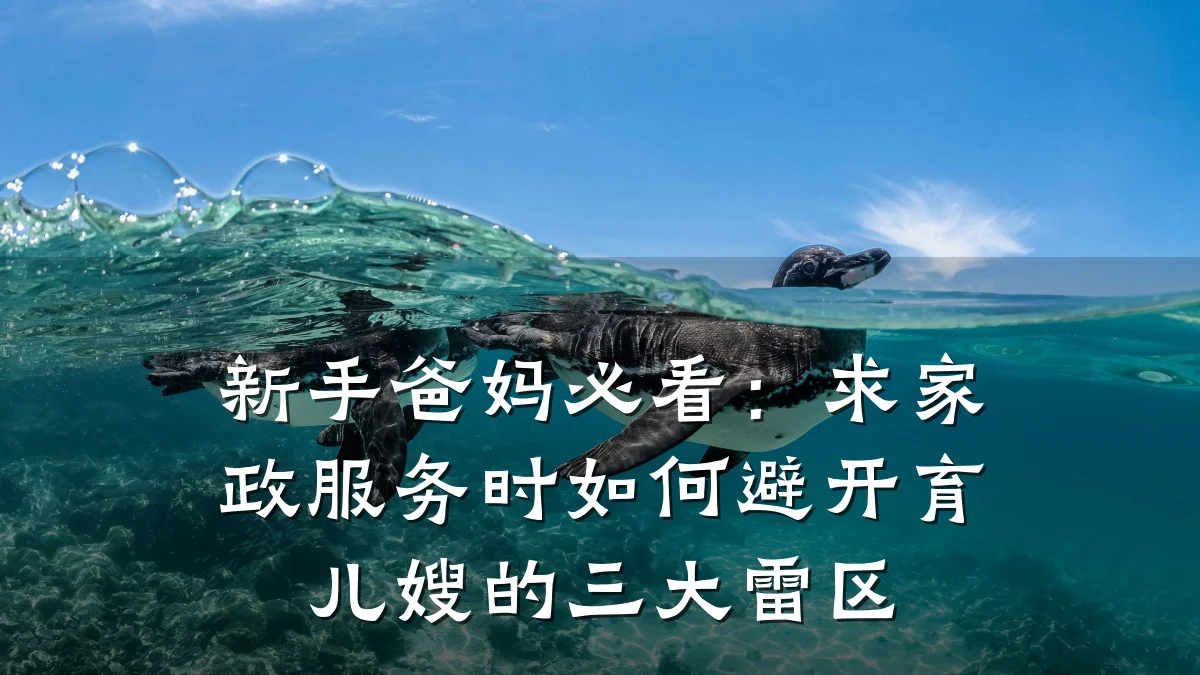 新手爸妈必看:求家政服务时如何避开育儿嫂的三大雷区