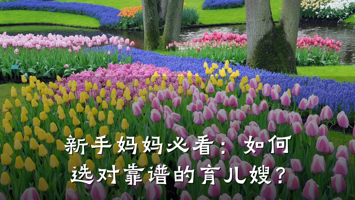 新手妈妈必看:如何选对靠谱的育儿嫂?
