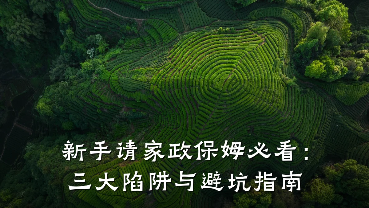 新手请家政保姆必看:三大陷阱与避坑指南