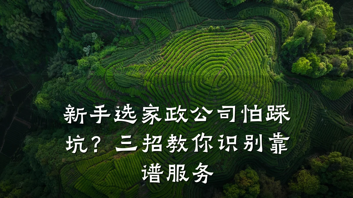 新手选家政公司怕踩坑?三招教你识别靠谱服务