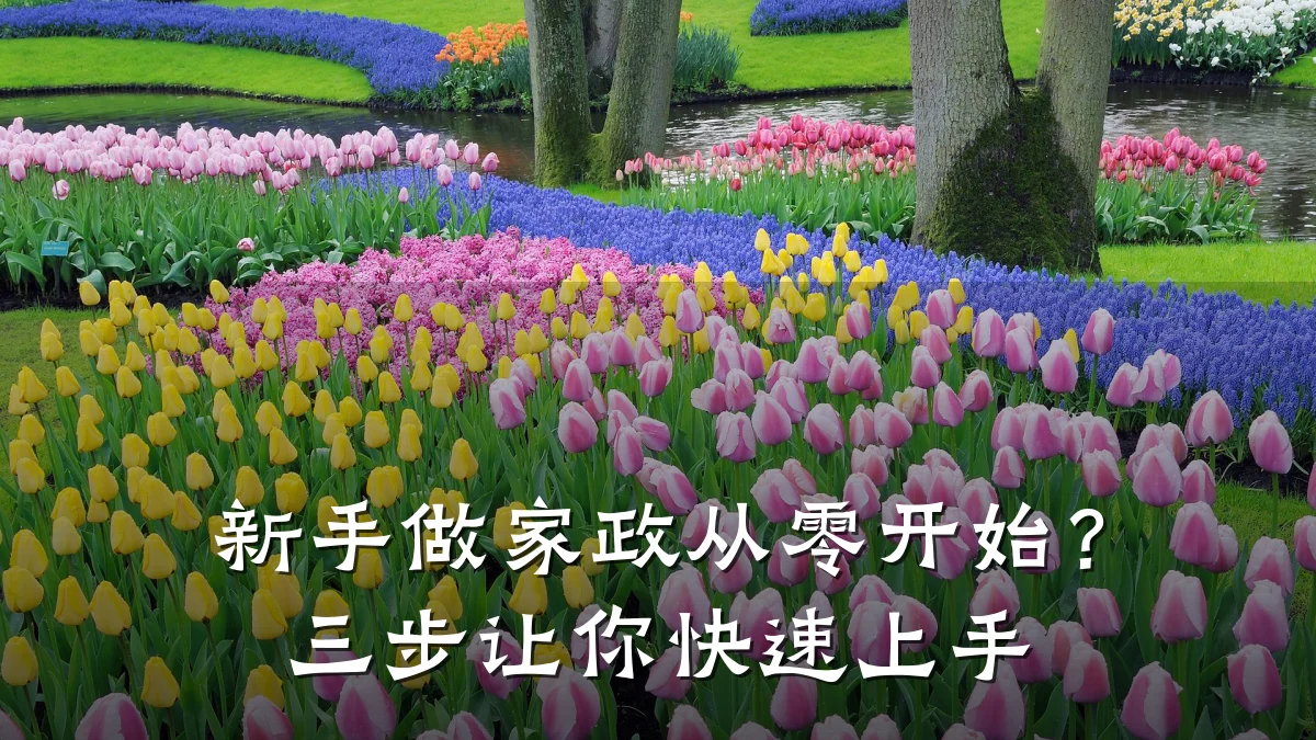 新手做家政从零开始?三步让你快速上手