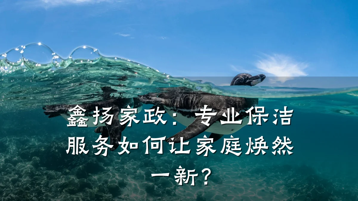 鑫扬家政:专业保洁服务如何让家庭焕然一新?