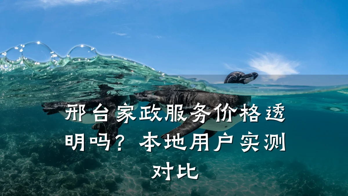 邢台家政服务价格透明吗?本地用户实测对比