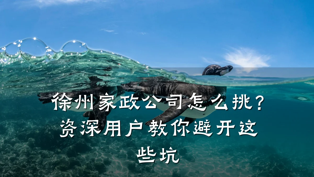 徐州家政公司怎么挑？资深用户教你避开这些坑