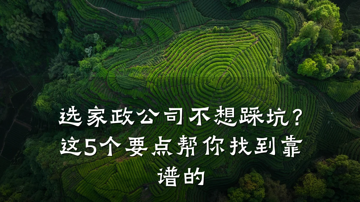 选家政公司不想踩坑?这5个要点帮你找到靠谱的
