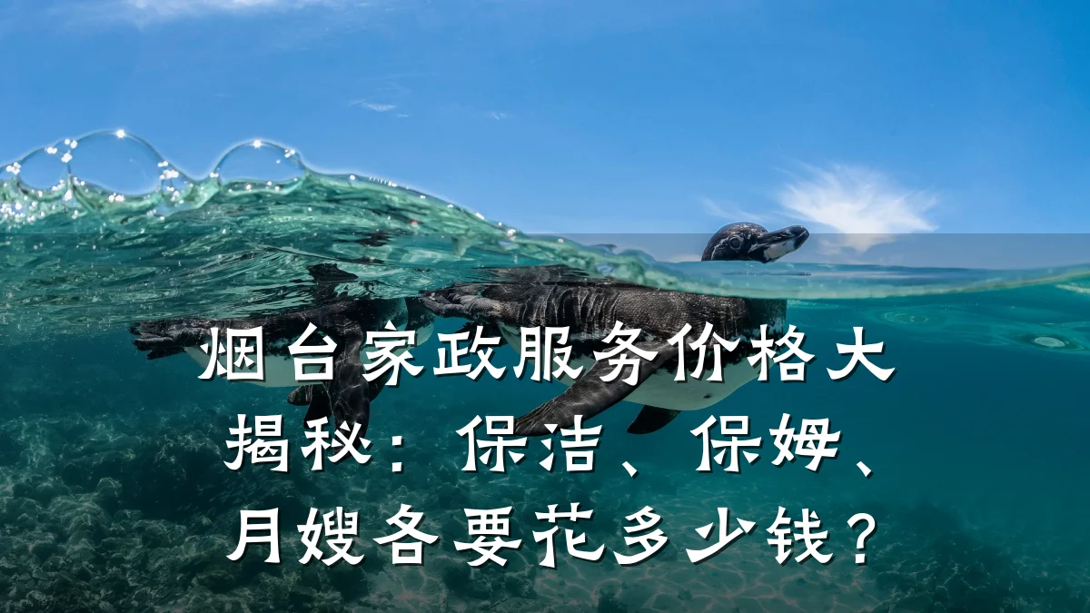 烟台家政服务价格大揭秘:保洁、保姆、月嫂各要花多少钱?