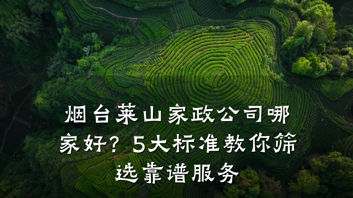 烟台莱山家政公司哪家好?5大标准教你筛选靠谱服务