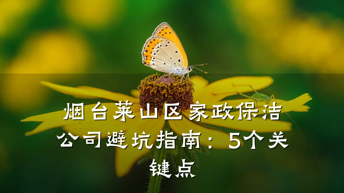 烟台莱山区家政保洁公司避坑指南:5个关键点