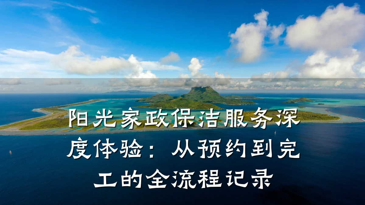 阳光家政保洁服务深度体验：从预约到完工的全流程记录