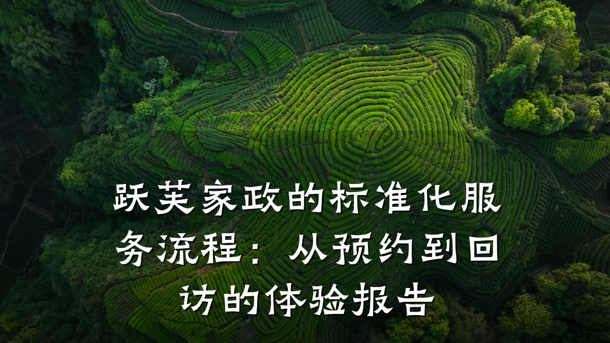 跃芙家政的标准化服务流程：从预约到回访的体验报告