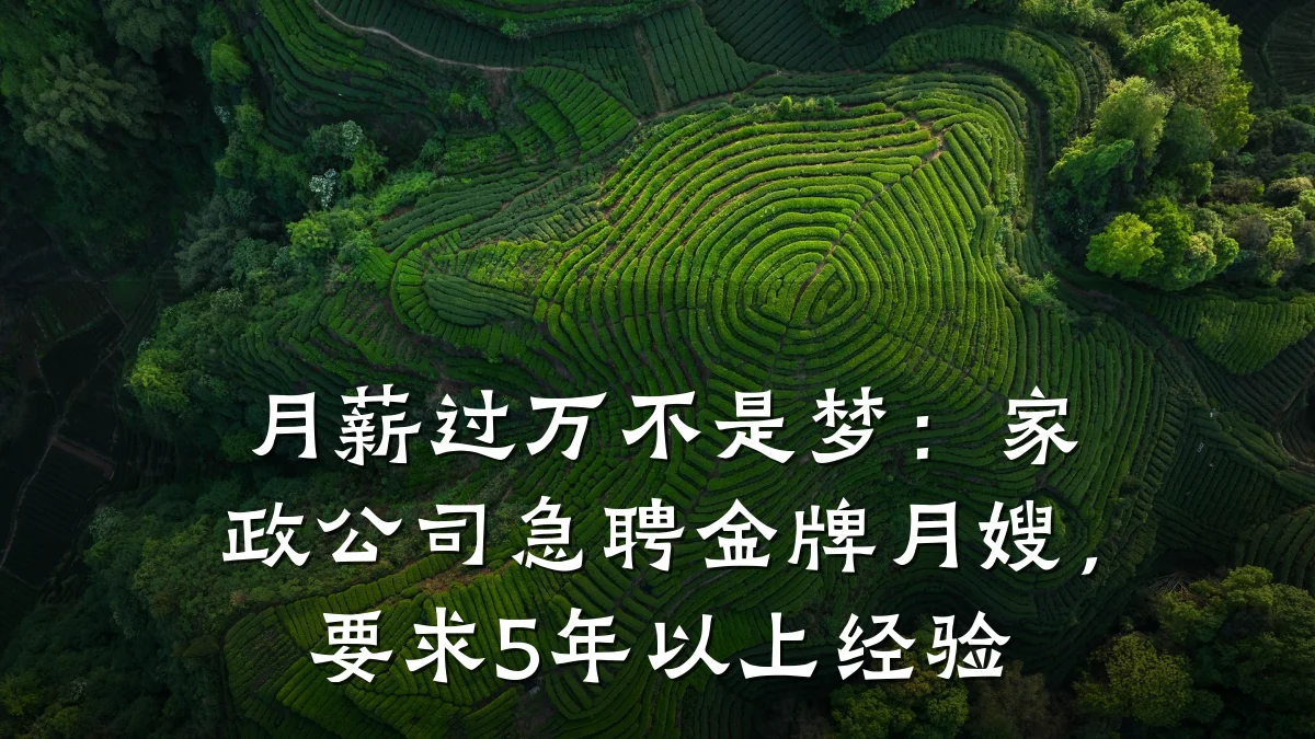 月薪过万不是梦:家政公司急聘金牌月嫂,要求5年以上经验