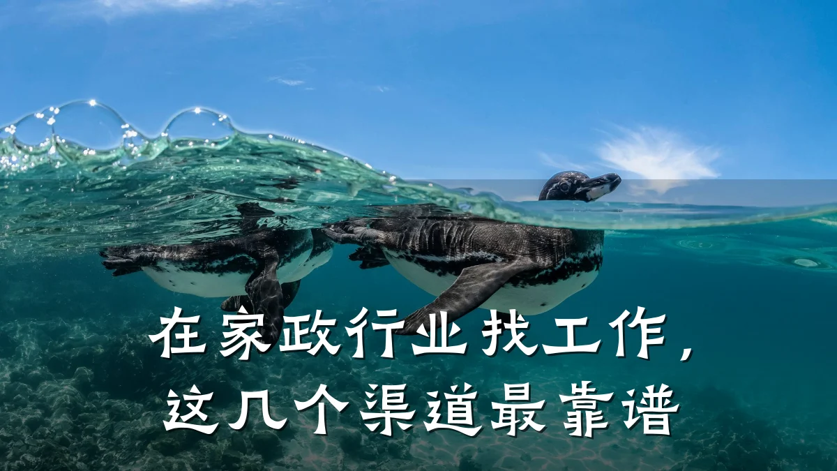 在家政行业找工作,这几个渠道最靠谱