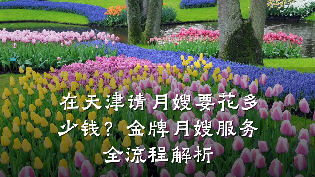 在天津请月嫂要花多少钱？金牌月嫂服务全流程解析