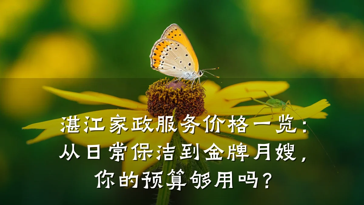 湛江家政服务价格一览：从日常保洁到金牌月嫂，你的预算够用吗？