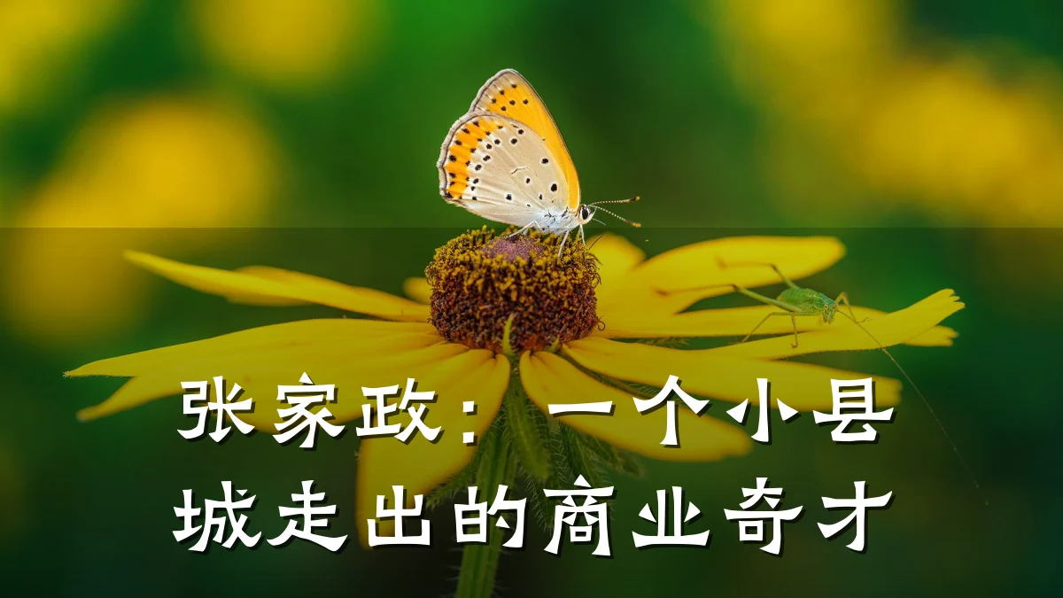 张家政:一个小县城走出的商业奇才
