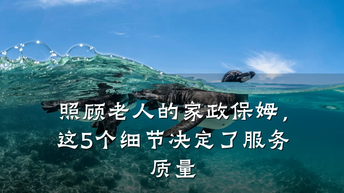 照顾老人的家政保姆,这5个细节决定了服务质量