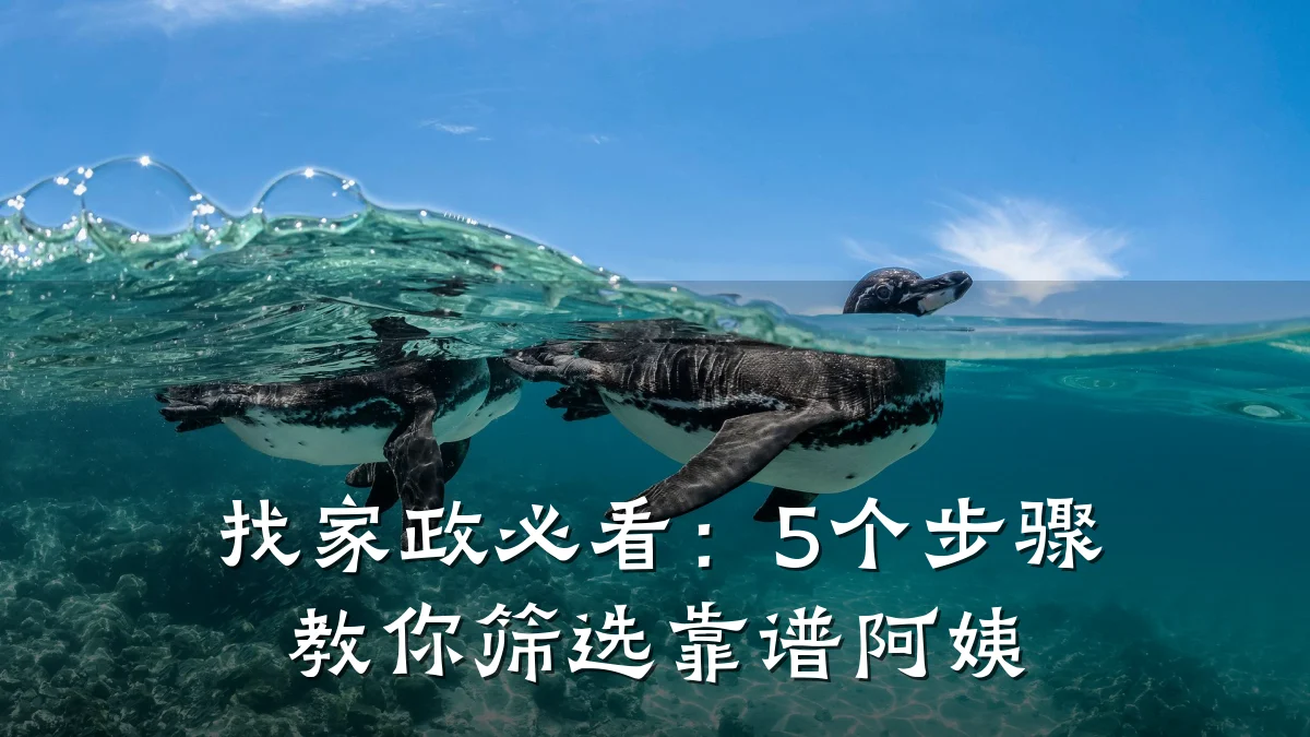 找家政必看:5个步骤教你筛选靠谱阿姨