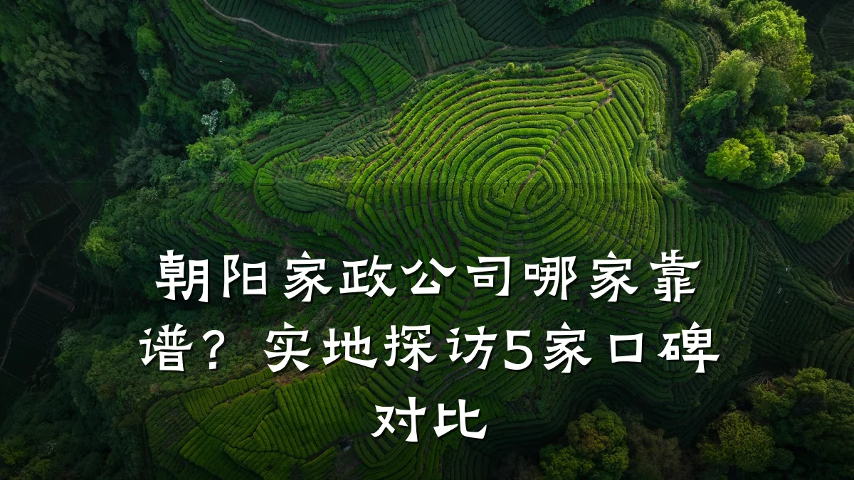 朝阳家政公司哪家靠谱?实地探访5家口碑对比