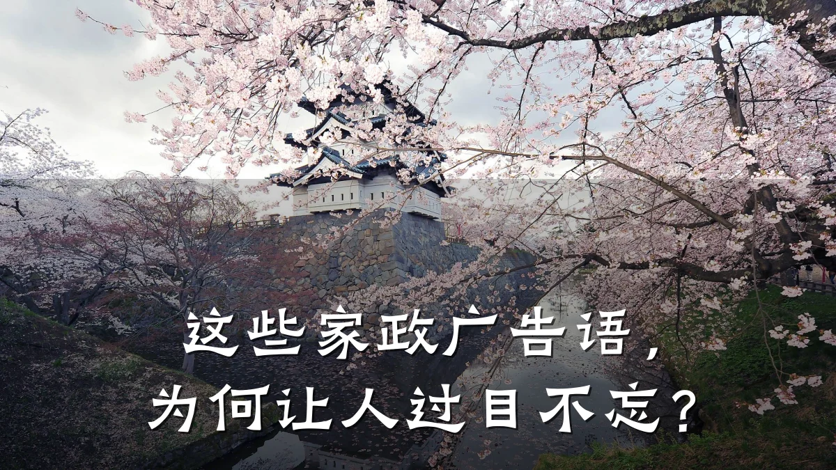 这些家政广告语，为何让人过目不忘？