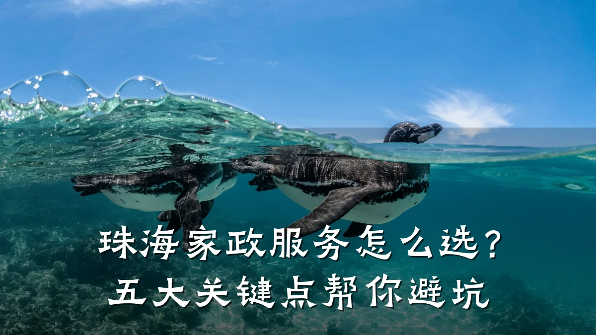 珠海家政服务怎么选？五大关键点帮你避坑