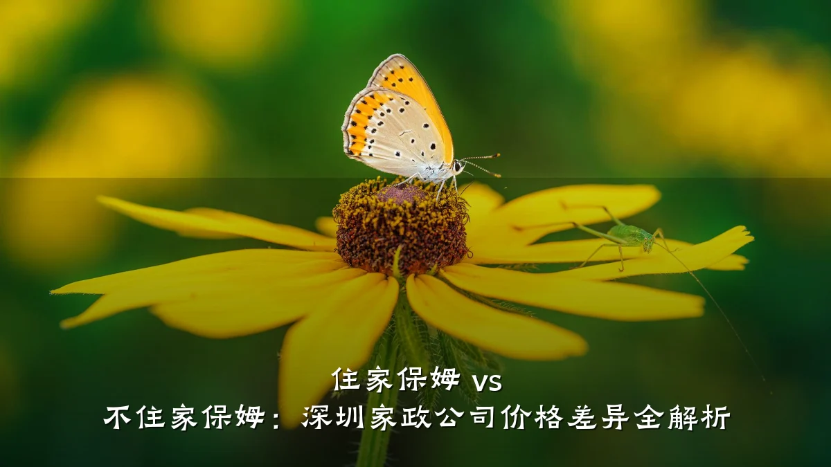 住家保姆 vs 不住家保姆：深圳家政公司价格差异全解析