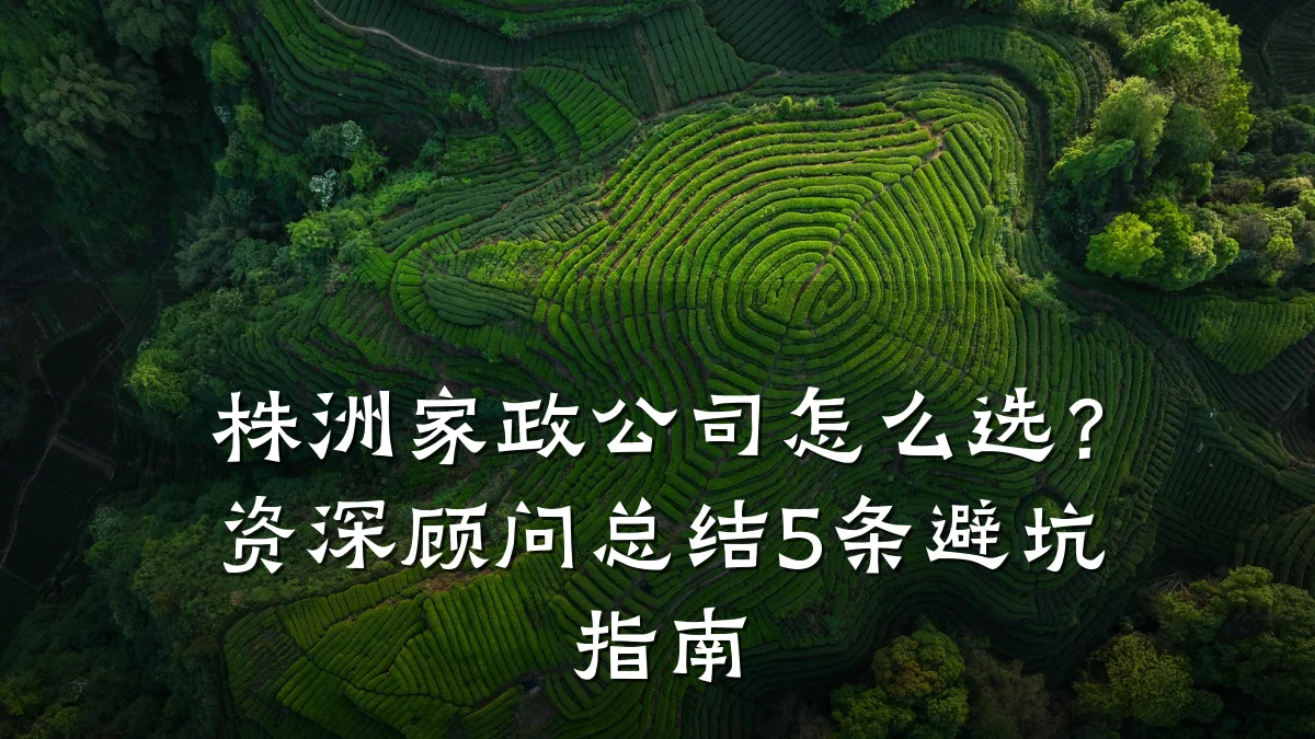 株洲家政公司怎么选?资深顾问总结5条避坑指南