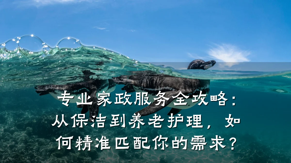 专业家政服务全攻略:从保洁到养老护理,如何精准匹配你的需求?