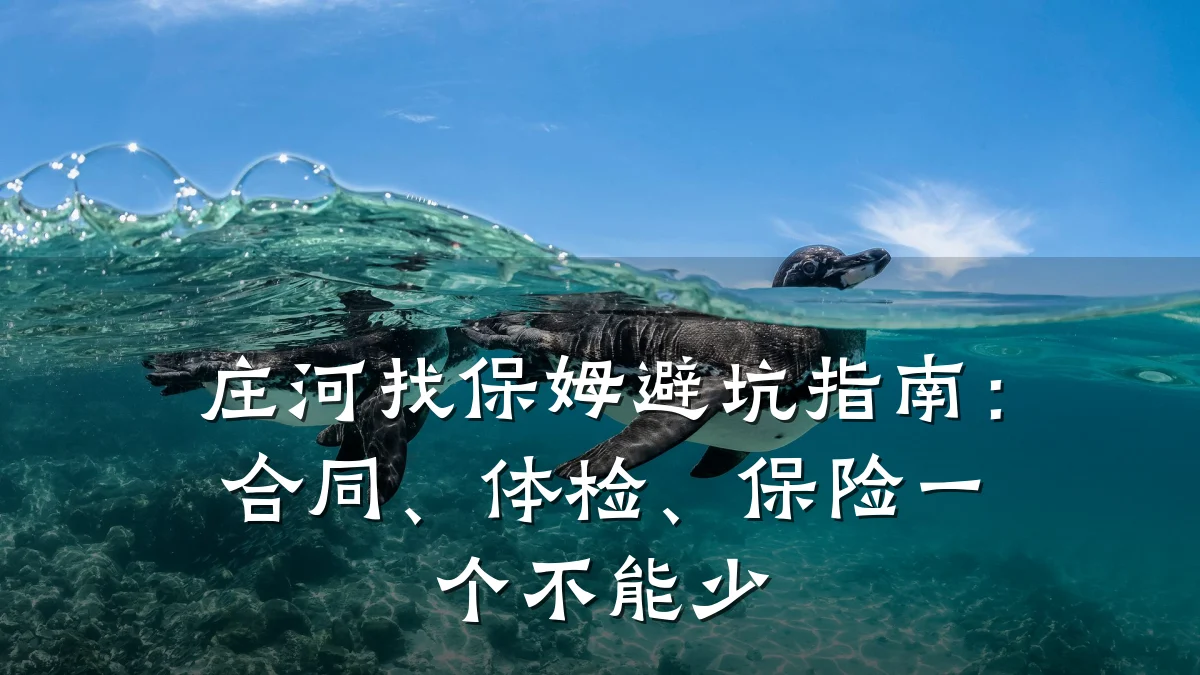 庄河找保姆避坑指南:合同、体检、保险一个不能少