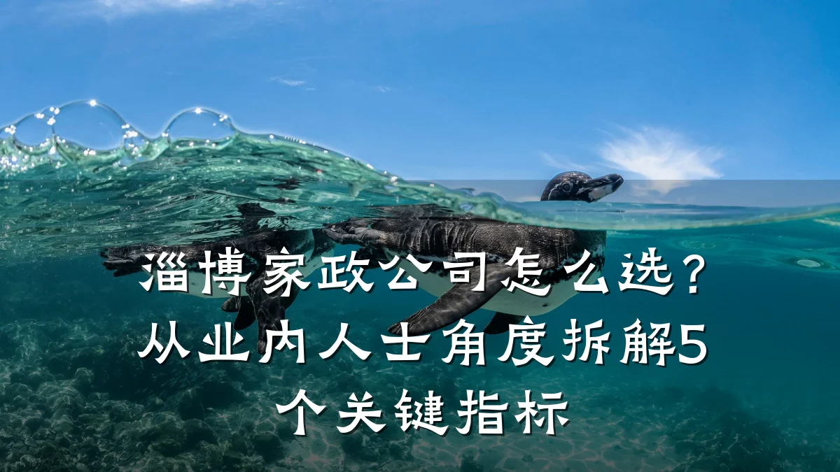 淄博家政公司怎么选?从业内人士角度拆解5个关键指标