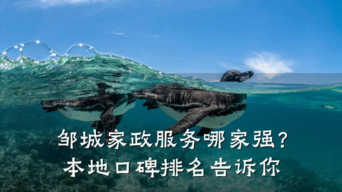 邹城家政服务哪家强?本地口碑排名告诉你