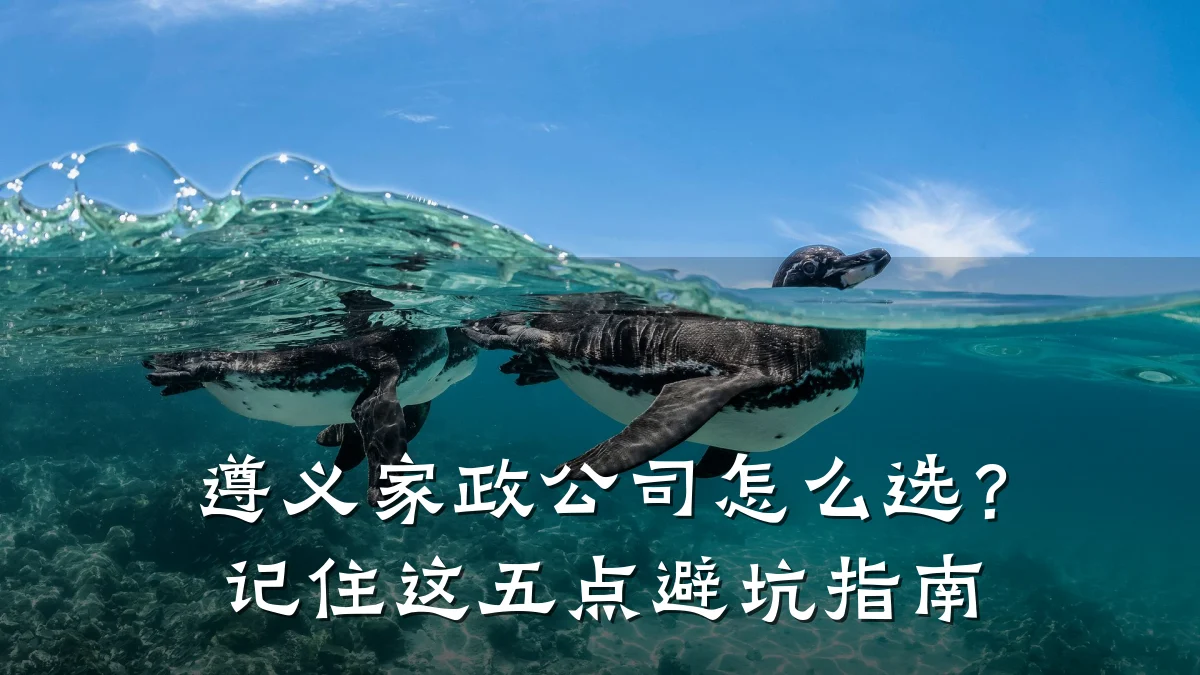 遵义家政公司怎么选?记住这五点避坑指南