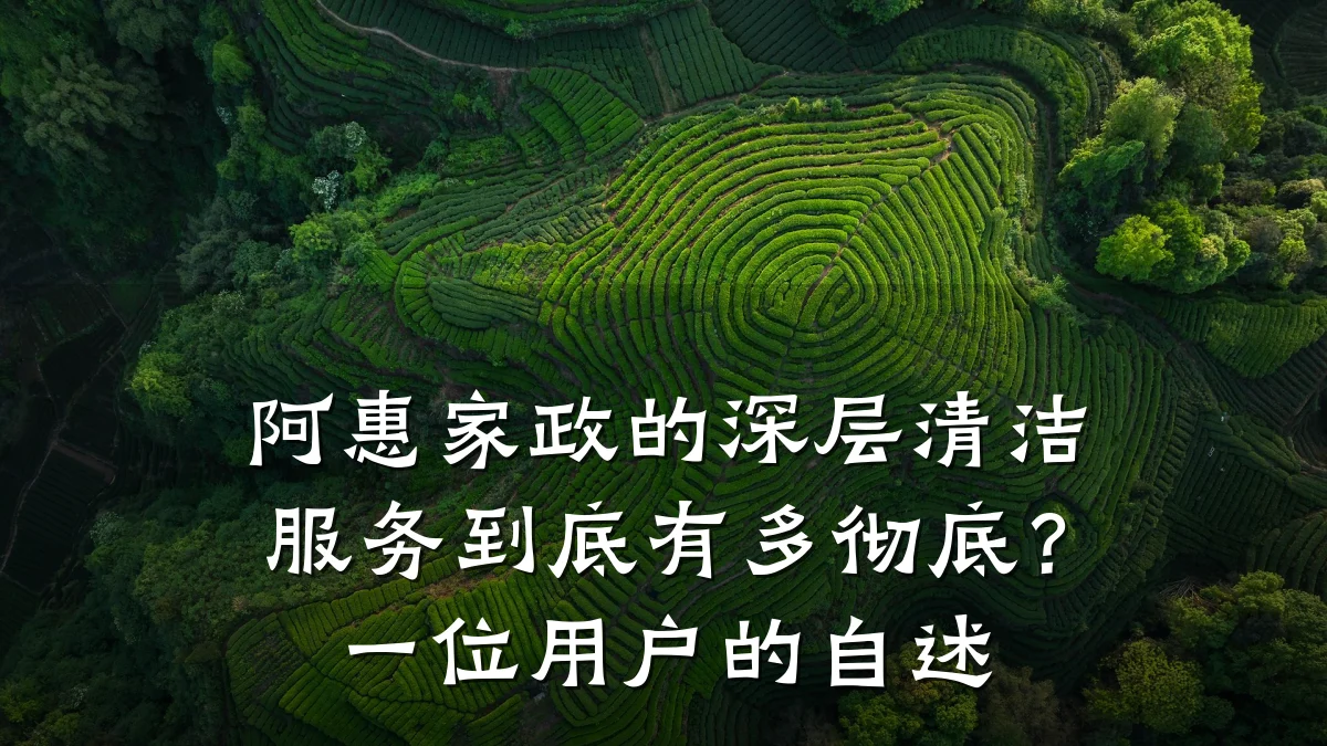 阿惠家政的深层清洁服务到底有多彻底?一位用户的自述