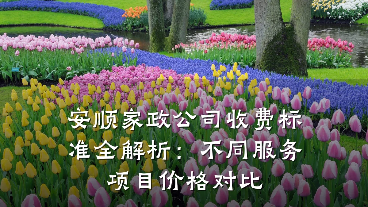 安顺家政公司收费标准全解析:不同服务项目价格对比
