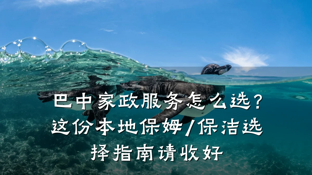 巴中家政服务怎么选?这份本地保姆/保洁选择指南请收好