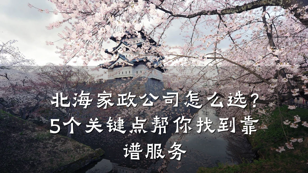 北海家政公司怎么选？5个关键点帮你找到靠谱服务