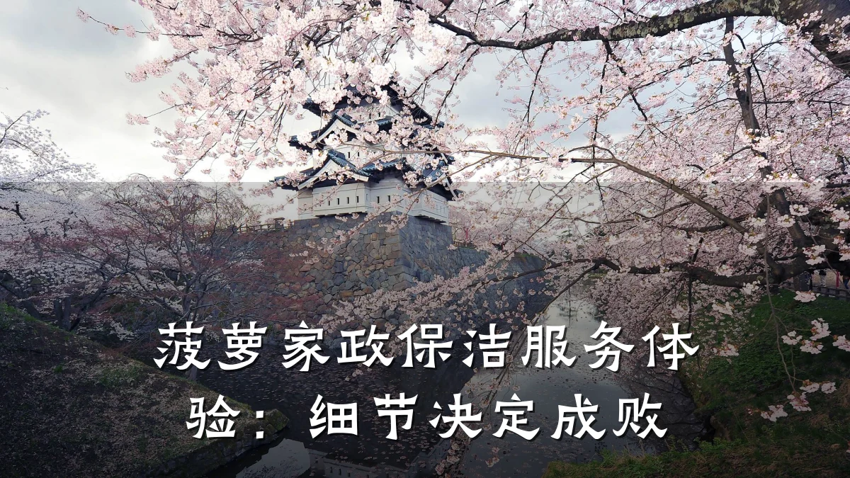 菠萝家政保洁服务体验:细节决定成败