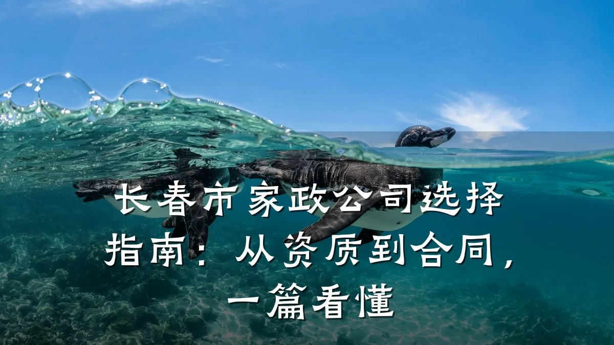 长春市家政公司选择指南:从资质到合同,一篇看懂