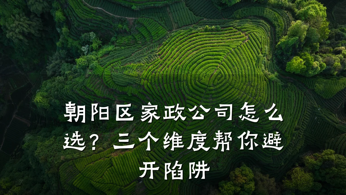 朝阳区家政公司怎么选?三个维度帮你避开陷阱