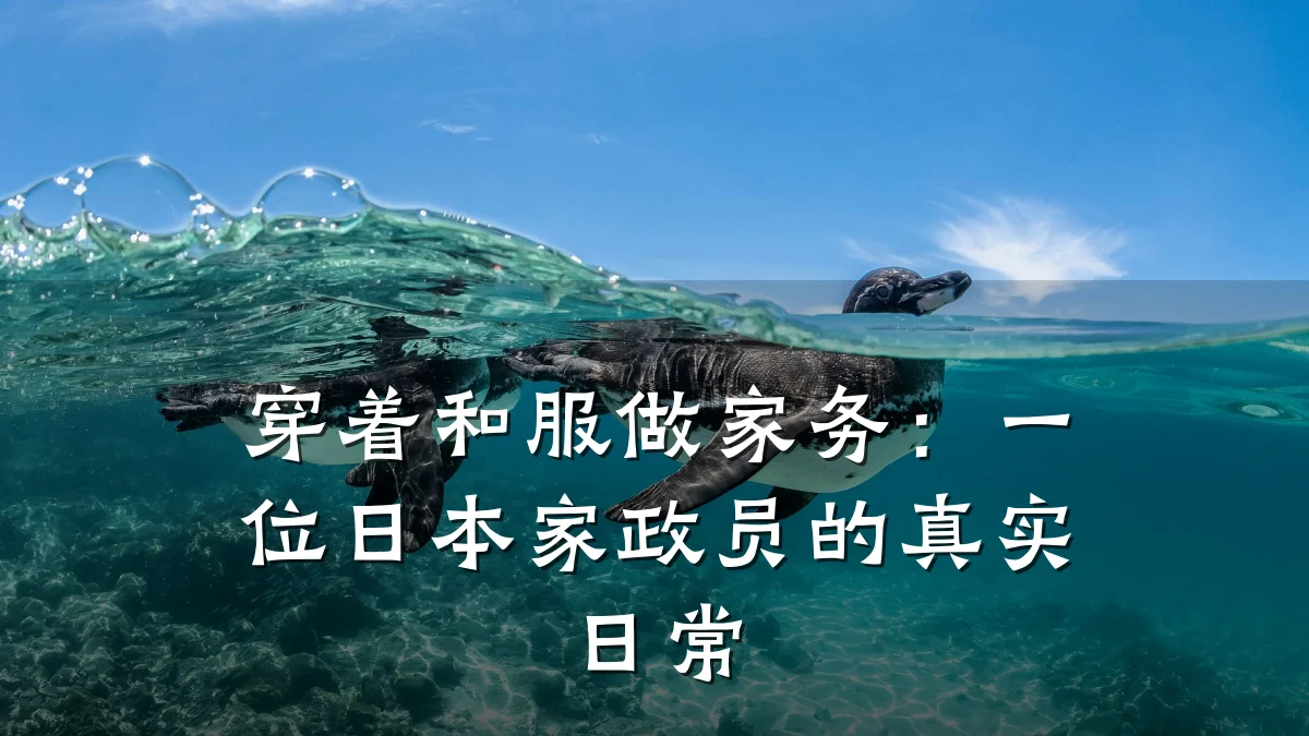 穿着和服做家务:一位日本家政员的真实日常