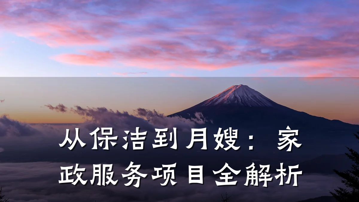 从保洁到月嫂:家政服务项目全解析