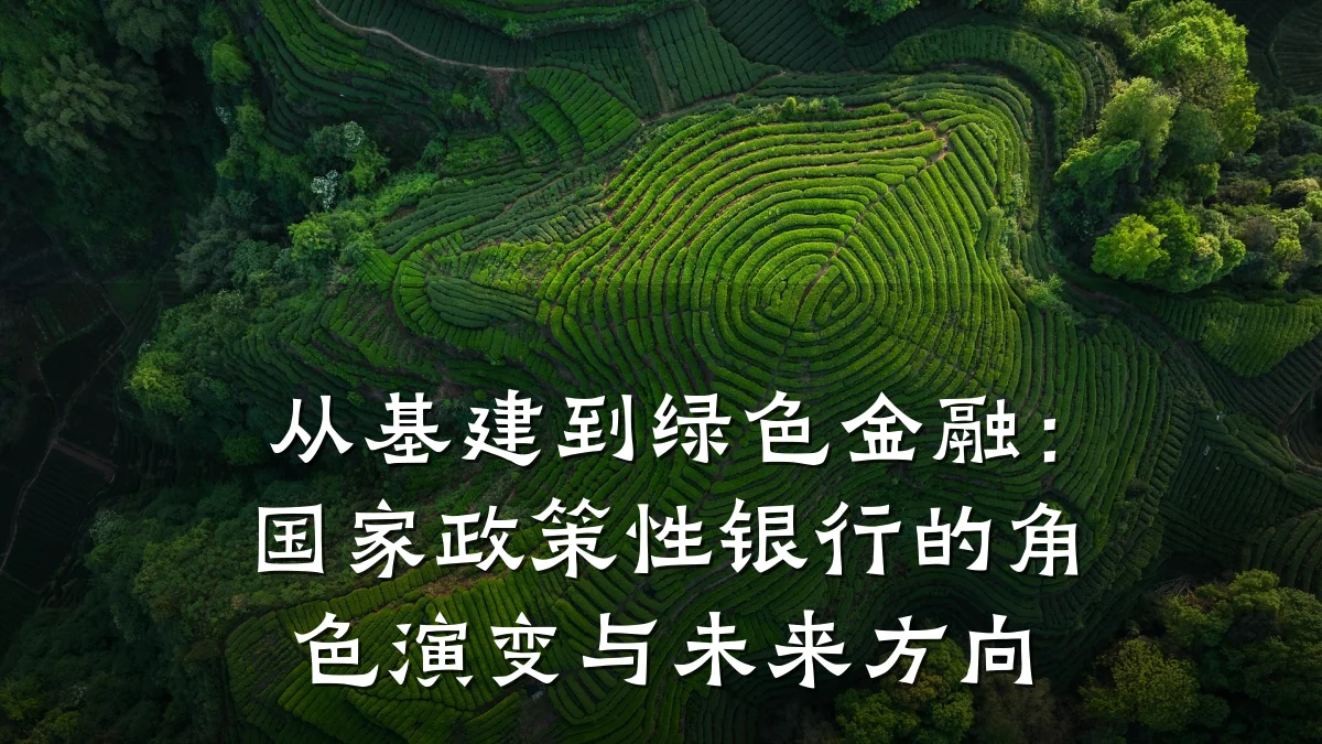 从基建到绿色金融：国家政策性银行的角色演变与未来方向