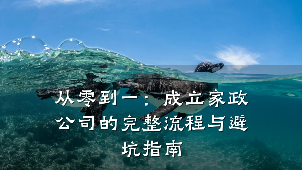 从零到一:成立家政公司的完整流程与避坑指南