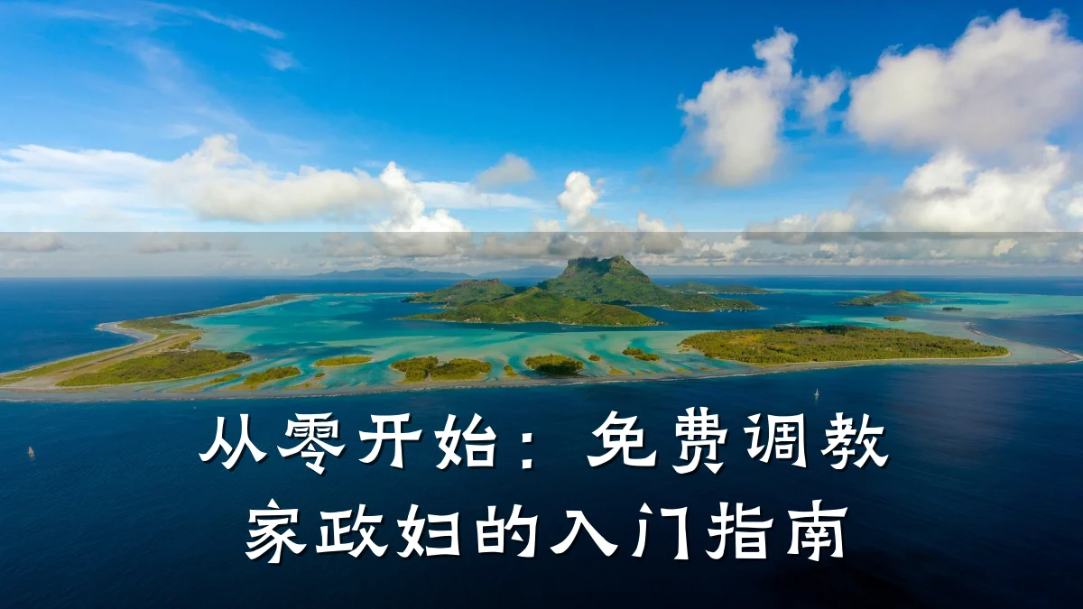 从零开始：免费调教家政妇的入门指南