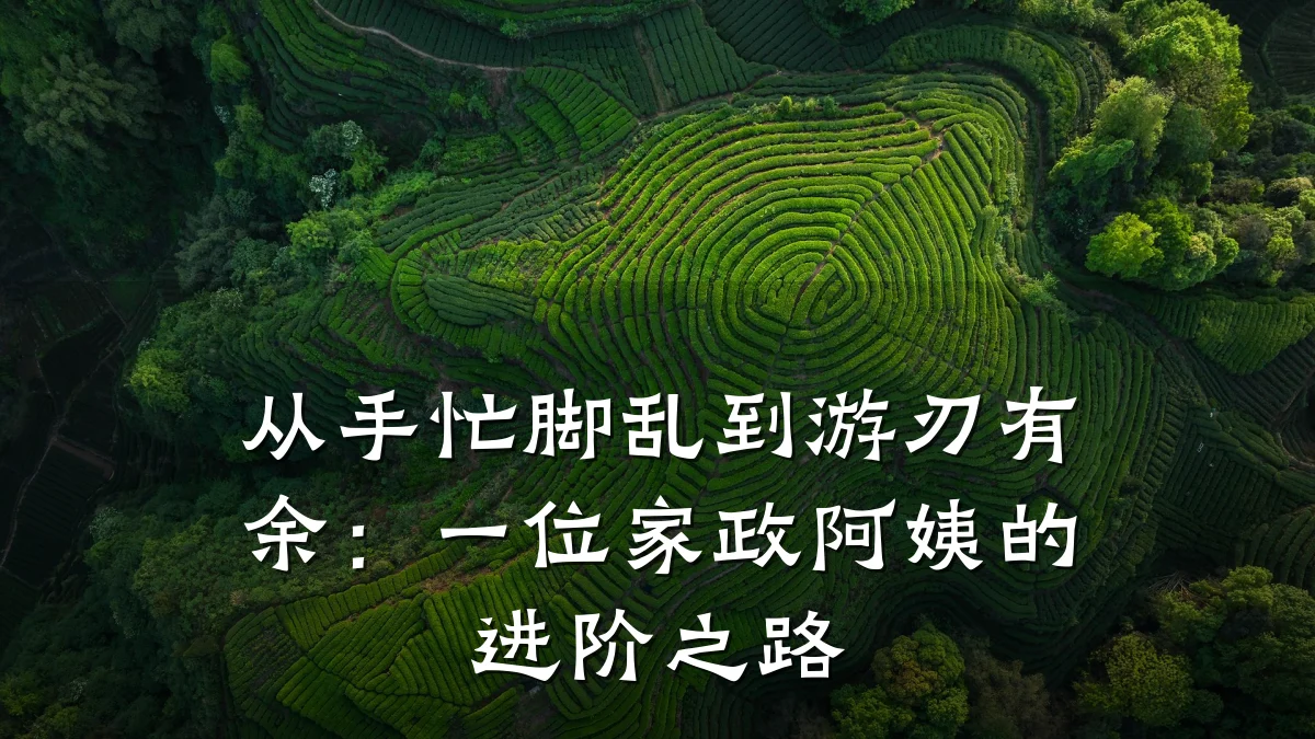 从手忙脚乱到游刃有余:一位家政阿姨的进阶之路