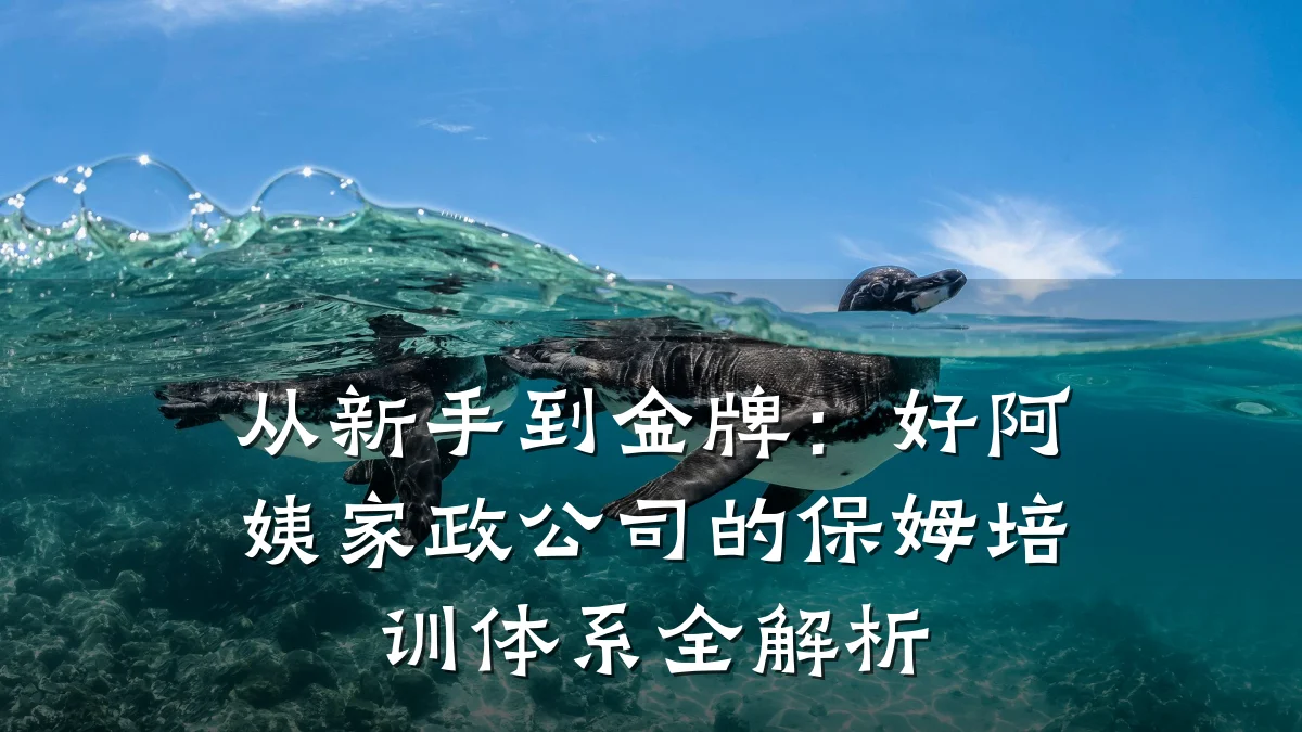 从新手到金牌:好阿姨家政公司的保姆培训体系全解析