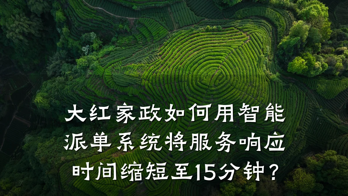 大红家政如何用智能派单系统将服务响应时间缩短至15分钟?
